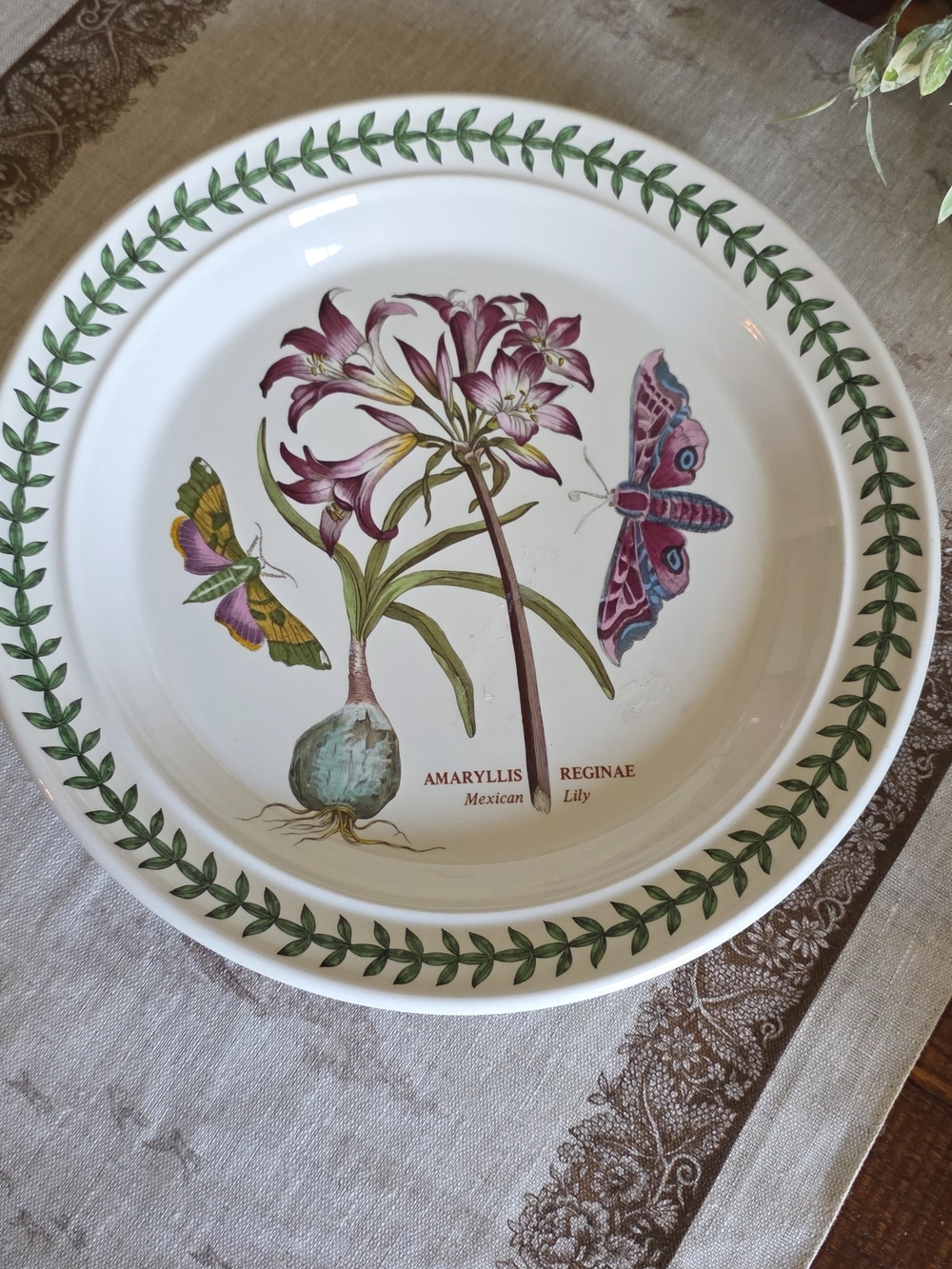 Botanical Amaryllis Ceramic Dinner Plate - White with Green Leaf Border
